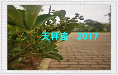 天秤座   2017